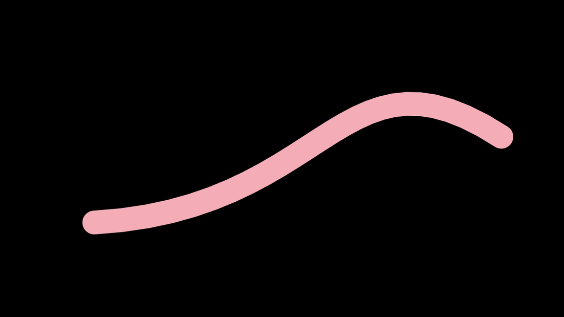Random Spline Curve 113