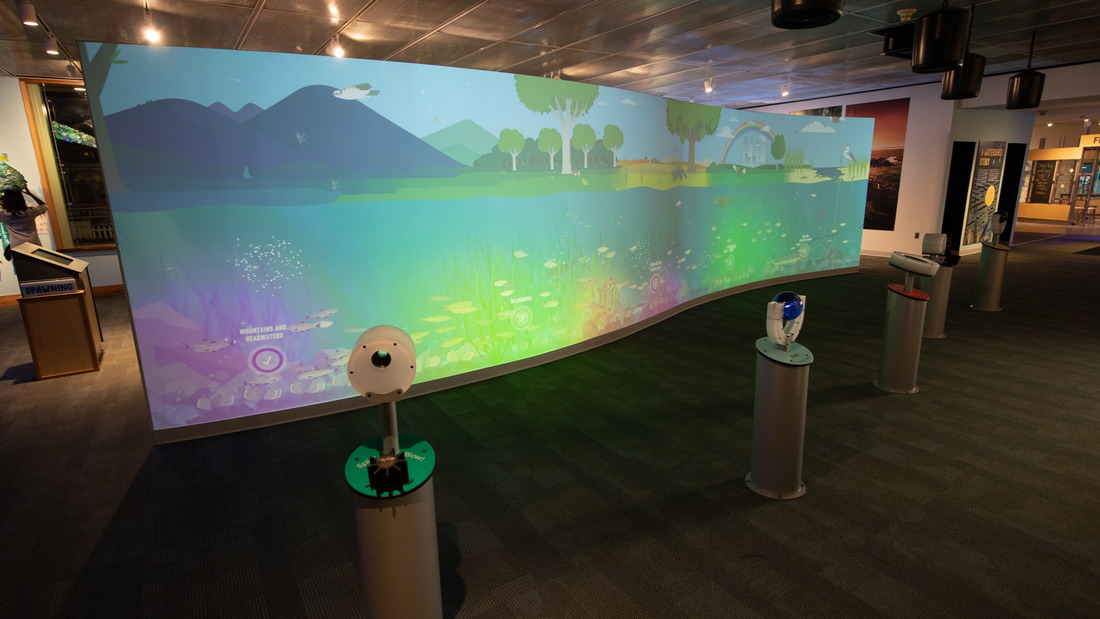 The full exhibit in the museum including the wall and input stations.